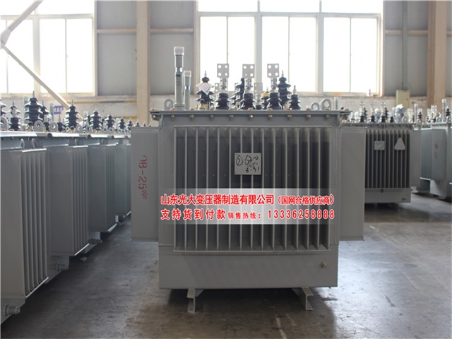 赣州S22-4000KVA油浸式变压器